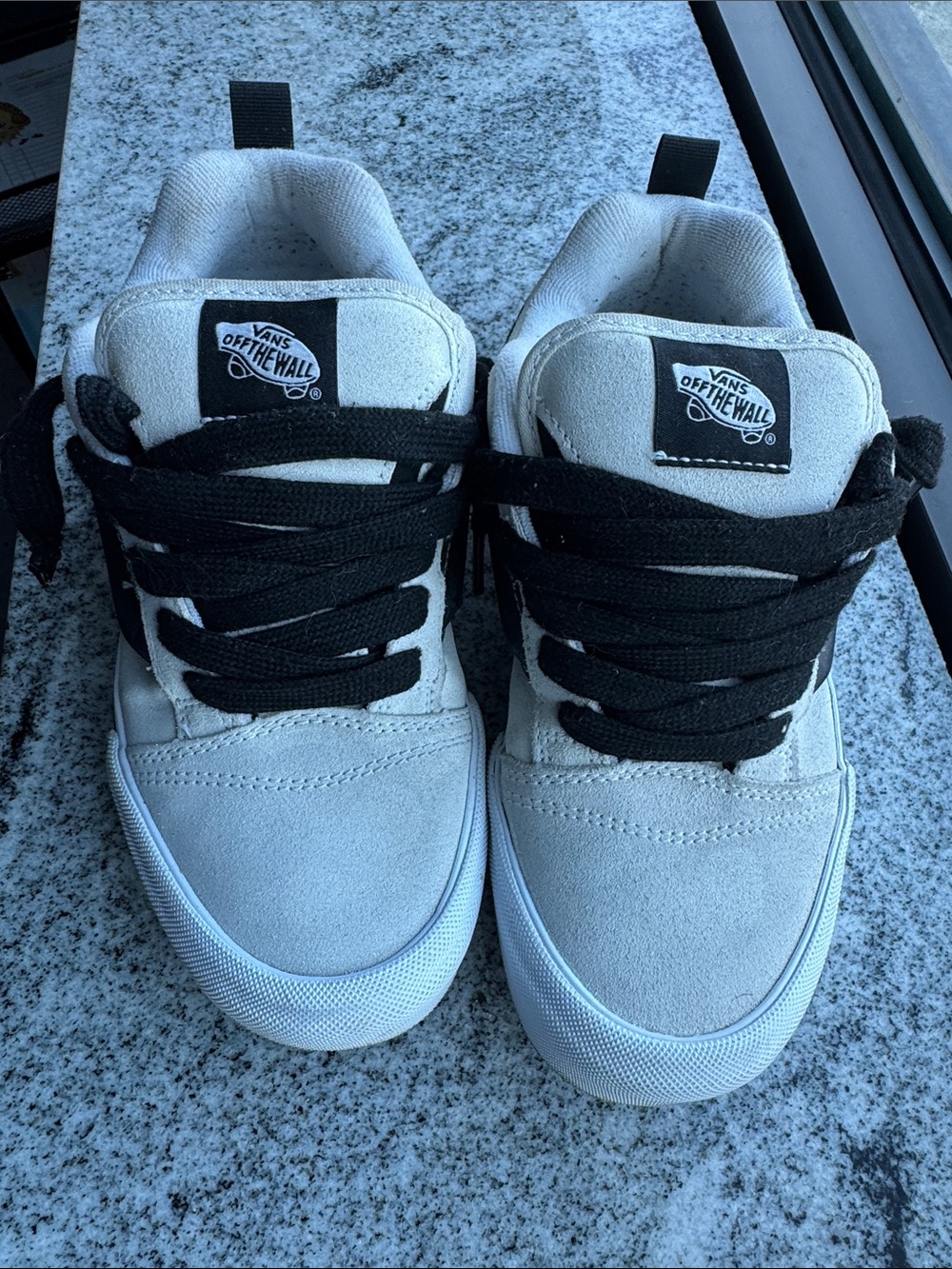 Vans White and Black Low-Top Skate Sneakers